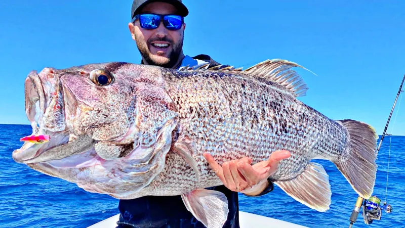 Assassin Flies|Fishing Rods>Spinmaster