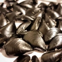 Blue Lip Baits Vibe Lures|Flies><noscript><img width=