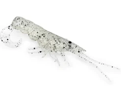 TackleWest Soft Plastic Lures|Flies><noscript><img width=