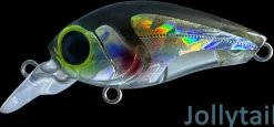 CRANKA Flies|Fishing Lures>Crank Shallow 35mm