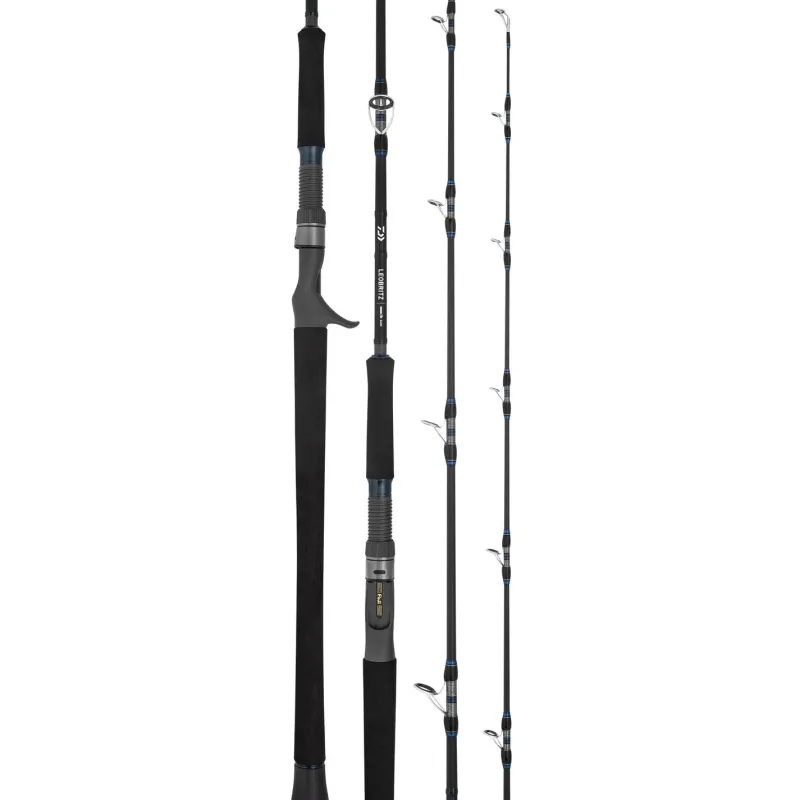 DAIWA Flies|Fishing Rods>25 Leobritz DG Overhead Rod