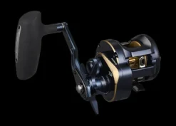 Daiwa Flies|Overhead Reels>25 Saltiga 300H Overhead Reel