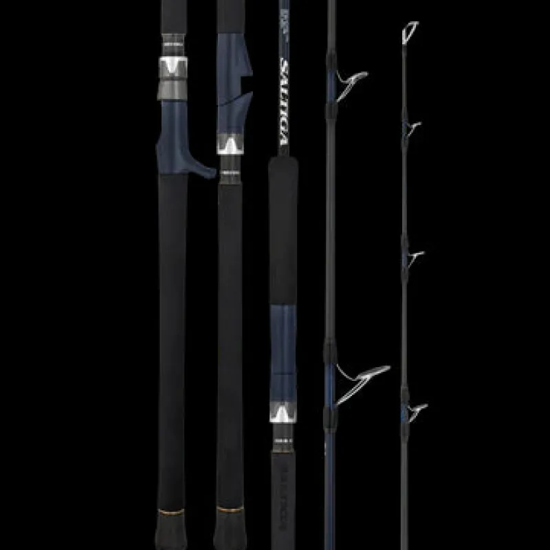 Daiwa Flies|Fishing Rods>25 Saltiga J