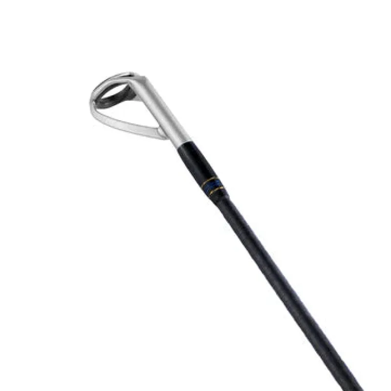 Daiwa Flies|Fishing Rods>25 Saltiga LC