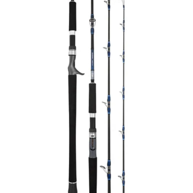 Daiwa Flies|Fishing Rods>25 Seaborg DG Overhead Rod