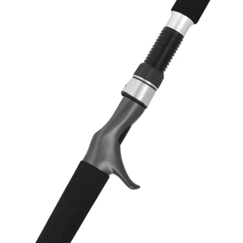 Daiwa Flies|Fishing Rods>25 Seaborg DG Overhead Rod