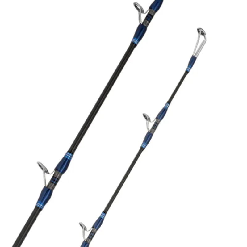 Daiwa Flies|Fishing Rods>25 Seaborg DG Overhead Rod