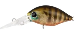 Daiwa Flies|Fishing Lures>Infeet Rolling Crank DR