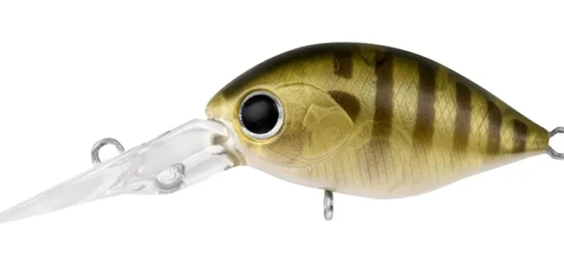 Daiwa Flies|Fishing Lures>Infeet Rolling Crank DR