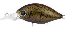 Daiwa Flies|Fishing Lures>Infeet Rolling Crank MR