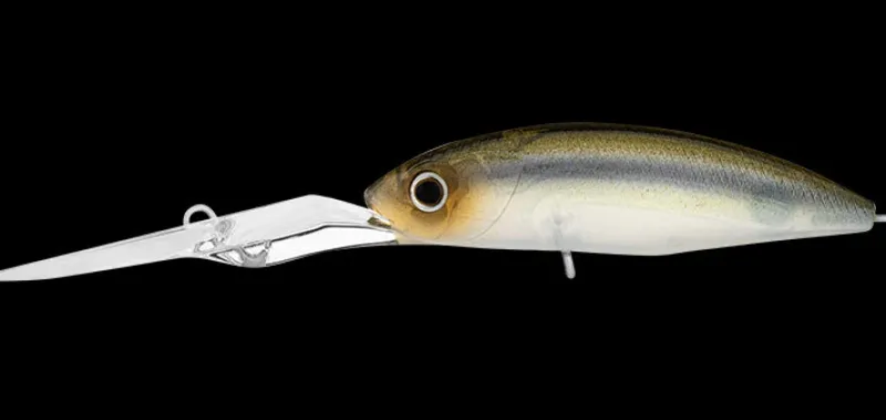 Daiwa Flies|Fishing Lures>Infeet Spike 53EXDR