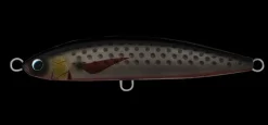 TackleWest Stickbaits|Flies><noscript><img width=