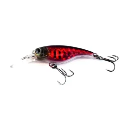 Ecogear Flies|Fishing Lures><noscript><img width=