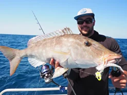TackleWest Soft Plastic Lures|Flies><noscript><img width=