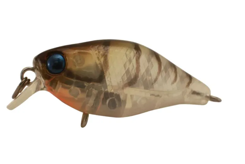 Jackall Flies|Fishing Lures>Chubby 38F Shallow