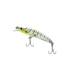 Malosi Flies|Fishing Lures><noscript><img width=