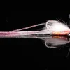 Manic Flies|Saltwater Flies>Bahama Mama 6