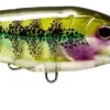 Nomad Flies|Fishing Lures>Design DTX Minnow 140