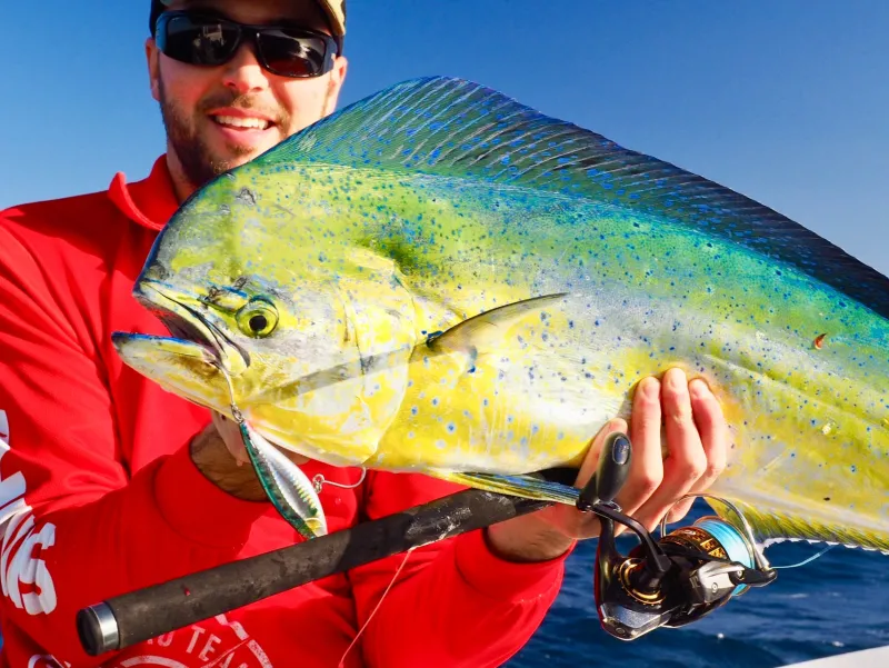 TackleWest Stickbaits|Flies>Nomad Design Madscad 115