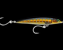 TackleWest Stickbaits|Flies>Rapala X-RAP Long Cast Shallow 14cm
