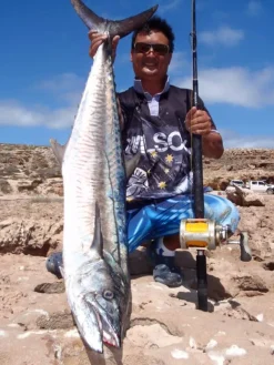 Venom Flies|Fishing Rods>Land Based Game