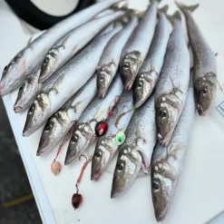 Vexed Flies|Bulk Fishing Lures>Bottom Worm Bundle