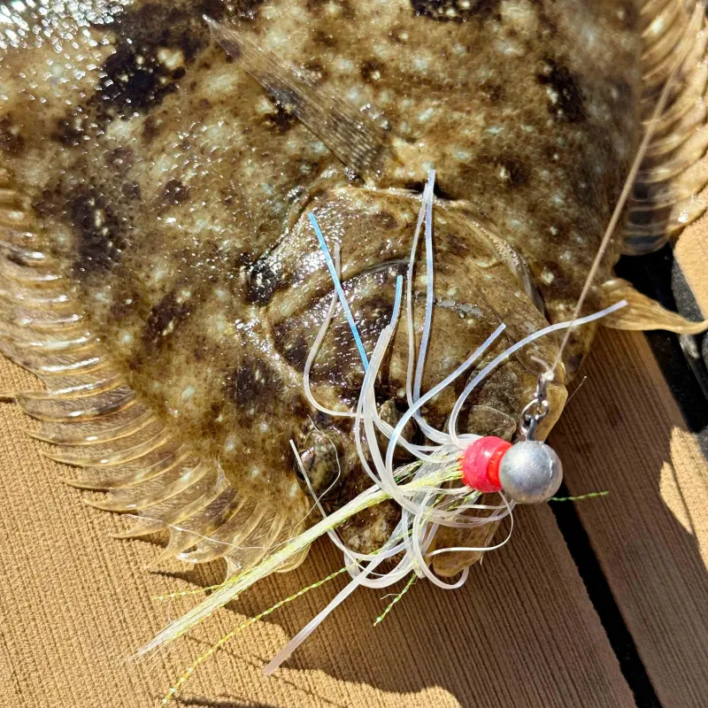 Vexed Lead Head Jig Lures|Flies>Buckabou Jig Wig 5-pack