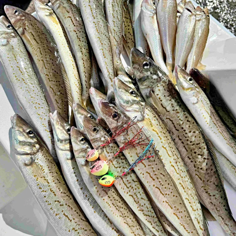 Vexed Vexed Hybrid Jigs|Flies>Micro Meat