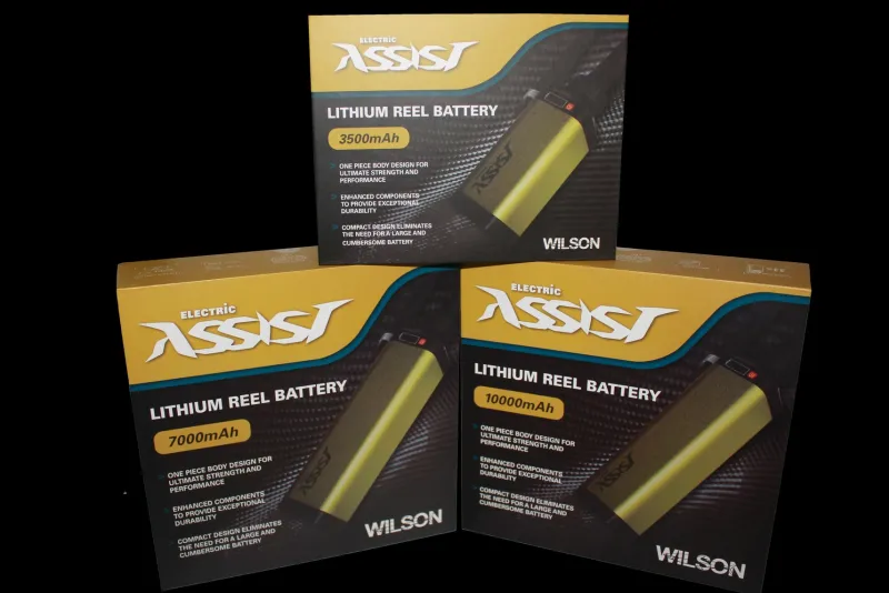 Wilson Flies|Electric Reels>Reel Battery kit complete