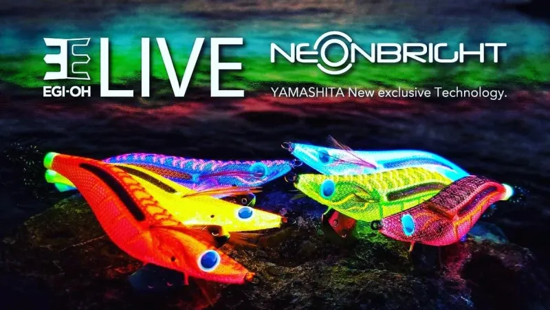 TackleWest Squid Jigs|Flies>Yamashita Egi OH Live Neon Bright
